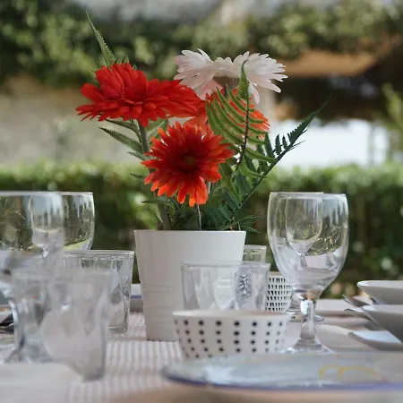 Aqua Gardens In Afytos Beach Case de vacanță Kallithea (Chalkidiki)